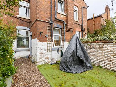 Picture 23